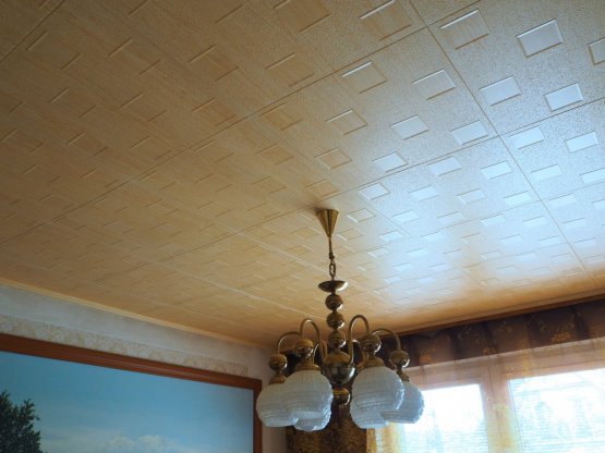 Polystyrenové stropní kazety OKTAWA borovice