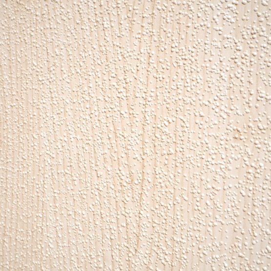 Polystyrenové stropní kazety ROSA hruška